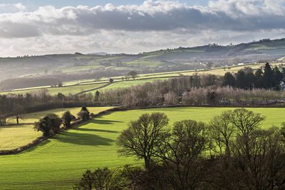 no dig gardening green fields