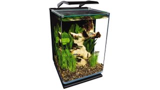 A vertical fish tank filled with plants and strata.