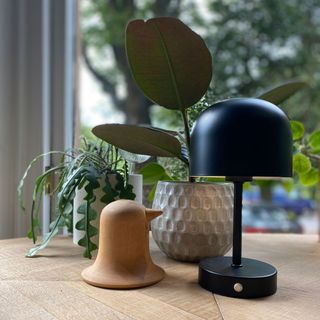Dunelm wireless rechargeable lamp on a table beside a window and some plants