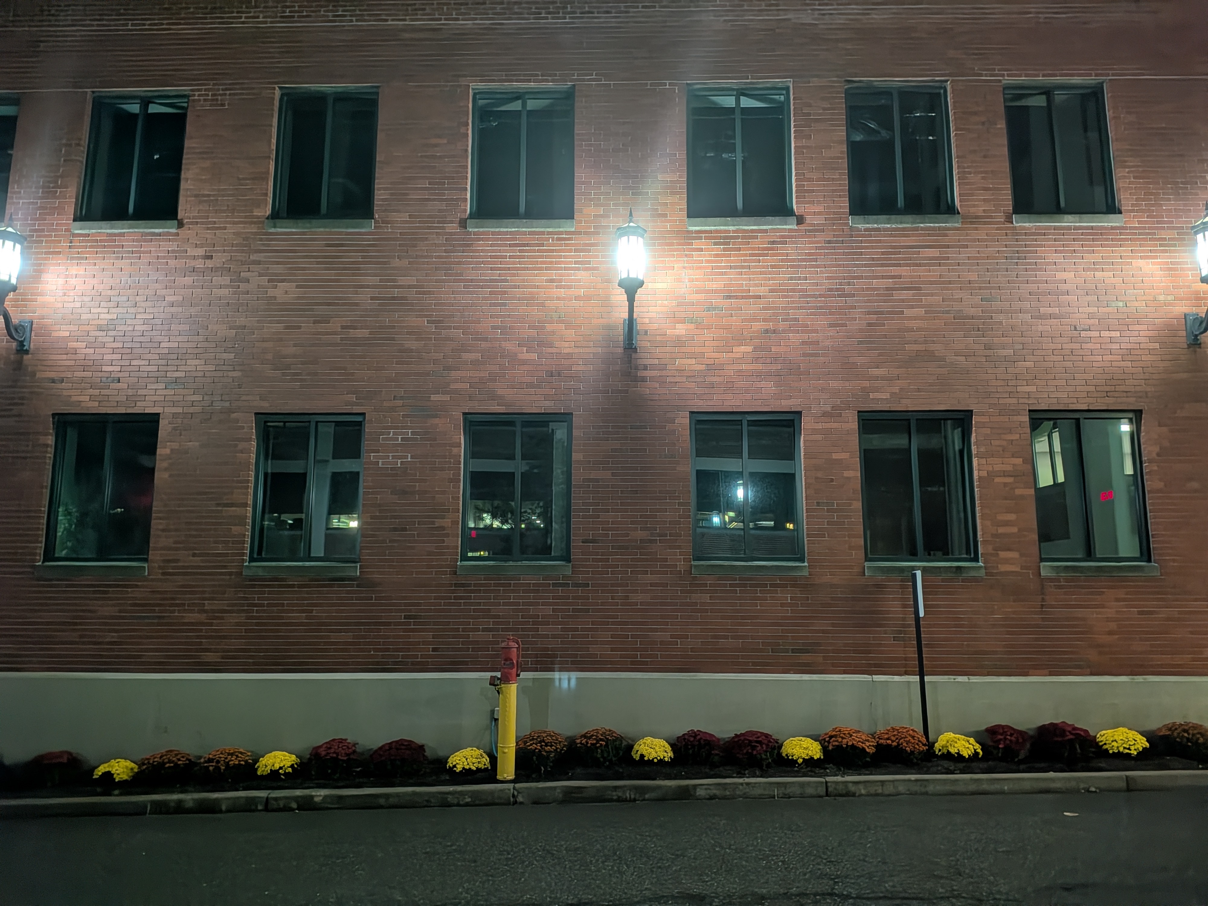 Photos taken with the Google Pixel 10 Pro Fold