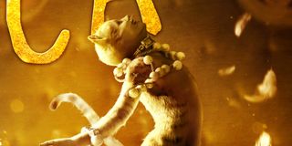 cats poster image