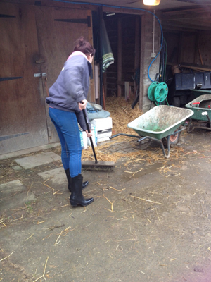 Wellies2