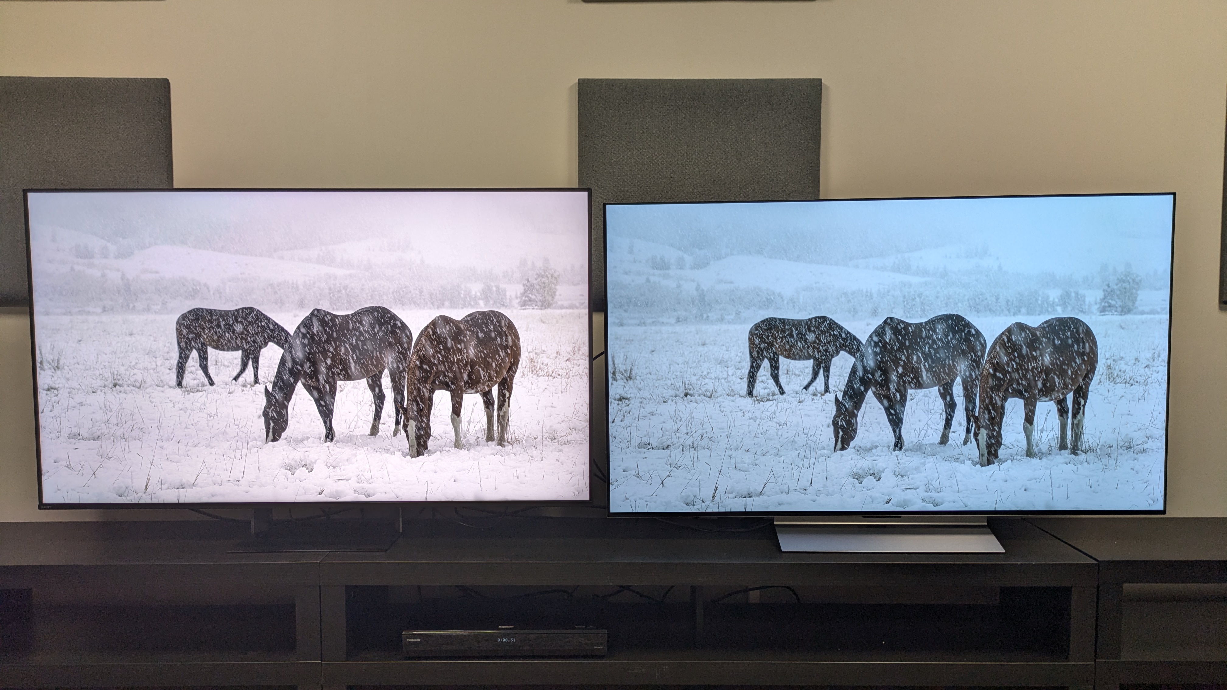 Sony Bravia 7 II (left) vs LG C6 (right) showing shot of horses in snow on screen. The Bravia 7 II is much brighter and its whites are more accurate