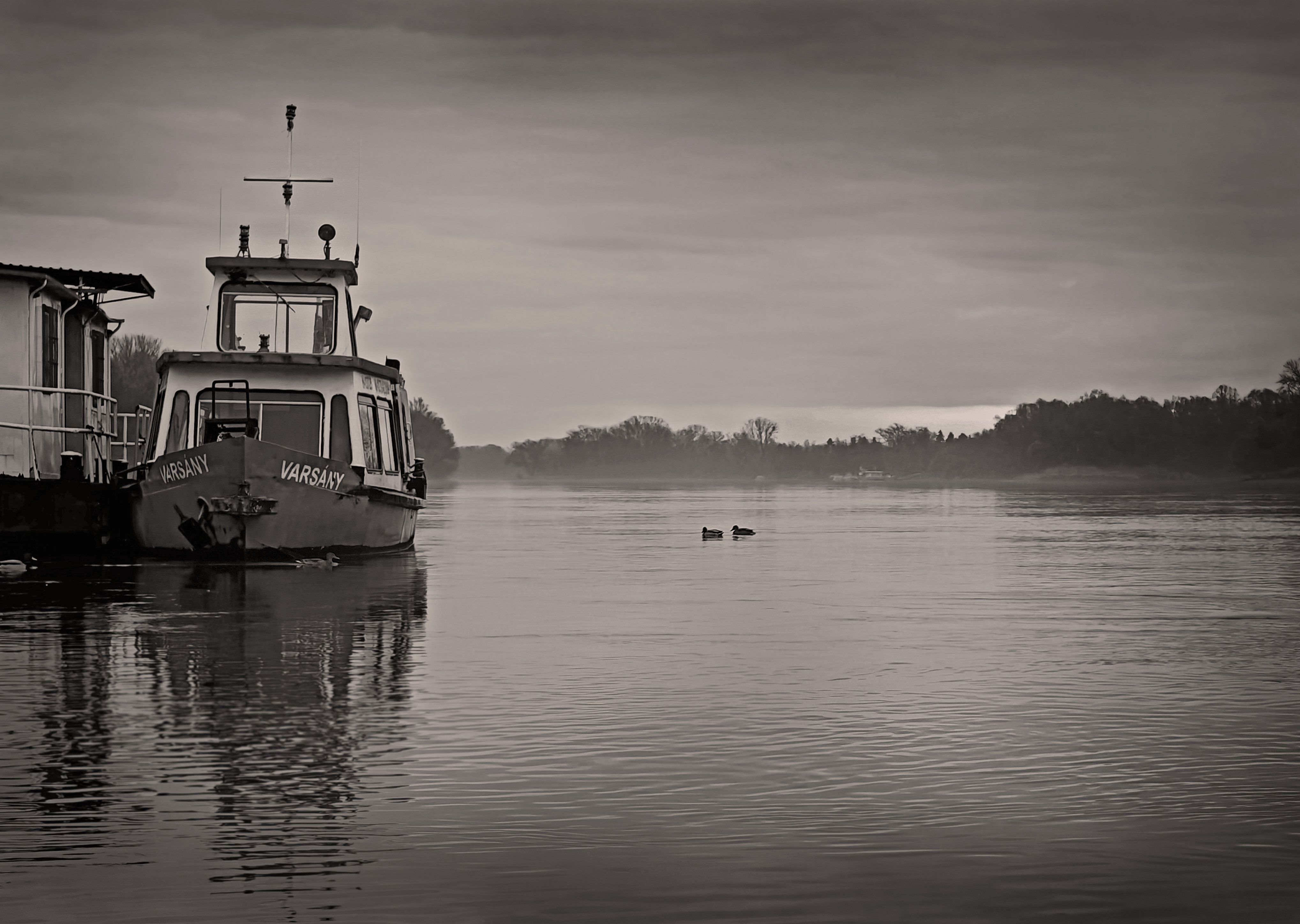 GuruShots - Monochrome Moments Jan 26