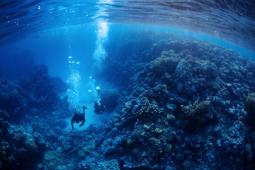 A deep sea treasure hunter denies knowing where priceless gold coins are.