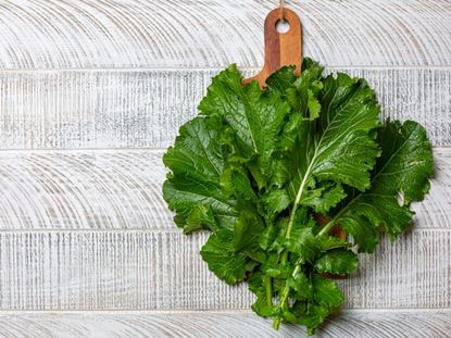 A small bunch of turnip greens sit on a textured white background