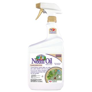 Neem oil spray bottle