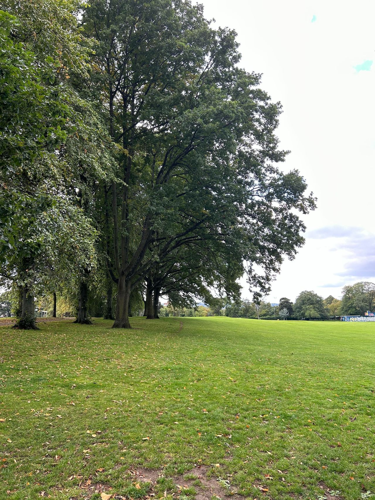 iPhone 14 Test Shot