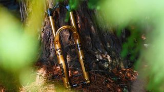 MY25 Fox 36 Factory GRIP X fork in gold leaning against a tree