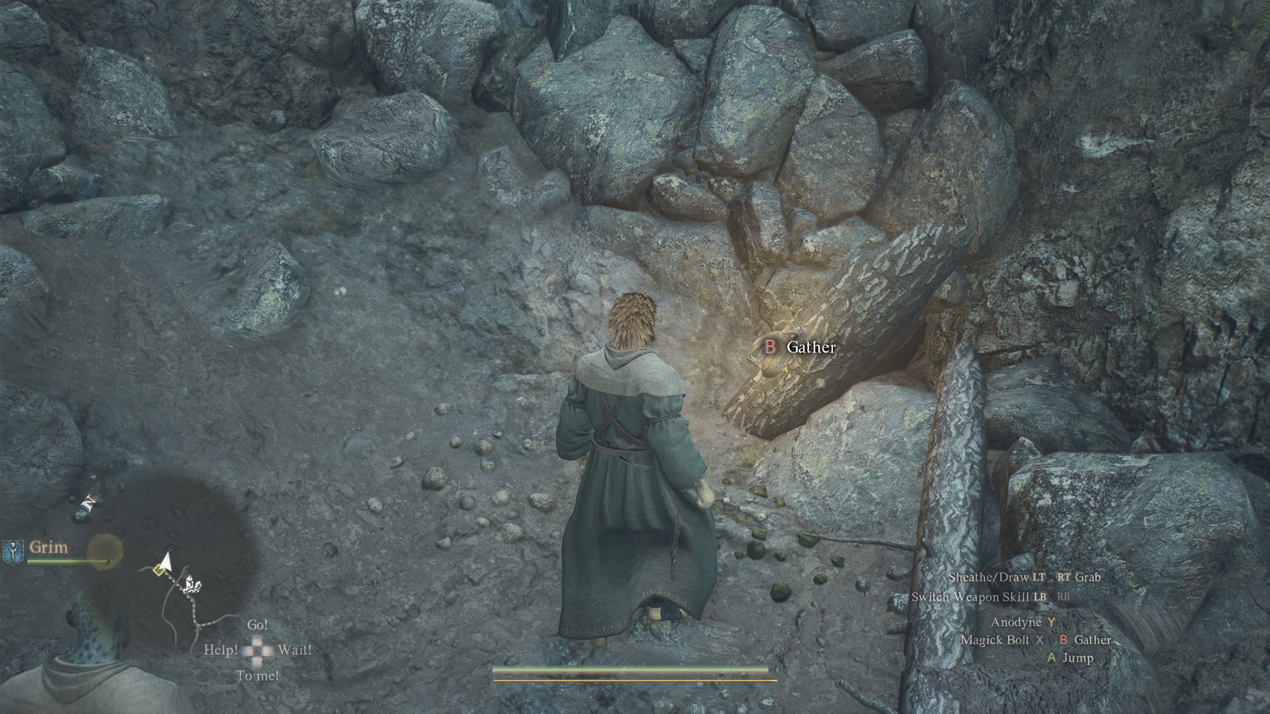 Dragon's Dogma 2 Golden Trove Beetle on a rock