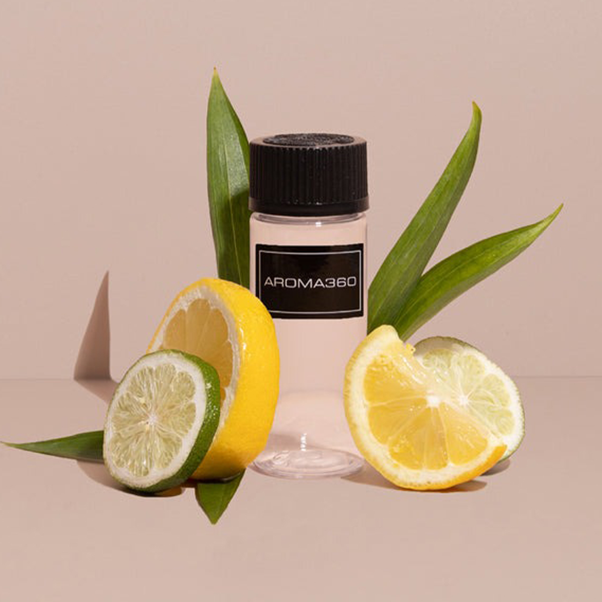 fragrance perfumes candles