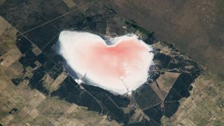 Satellite photo of a pink salt lake in the shape of a heart