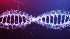 Illustration of DNA