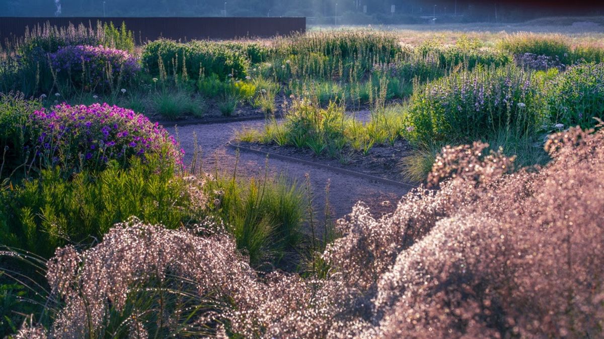 ハイラインデザイナーのピエトオドルフがスウェーデンの芸術とデザイン博物館の「ハート」にトレードマークの自然主義的植栽をもたらす