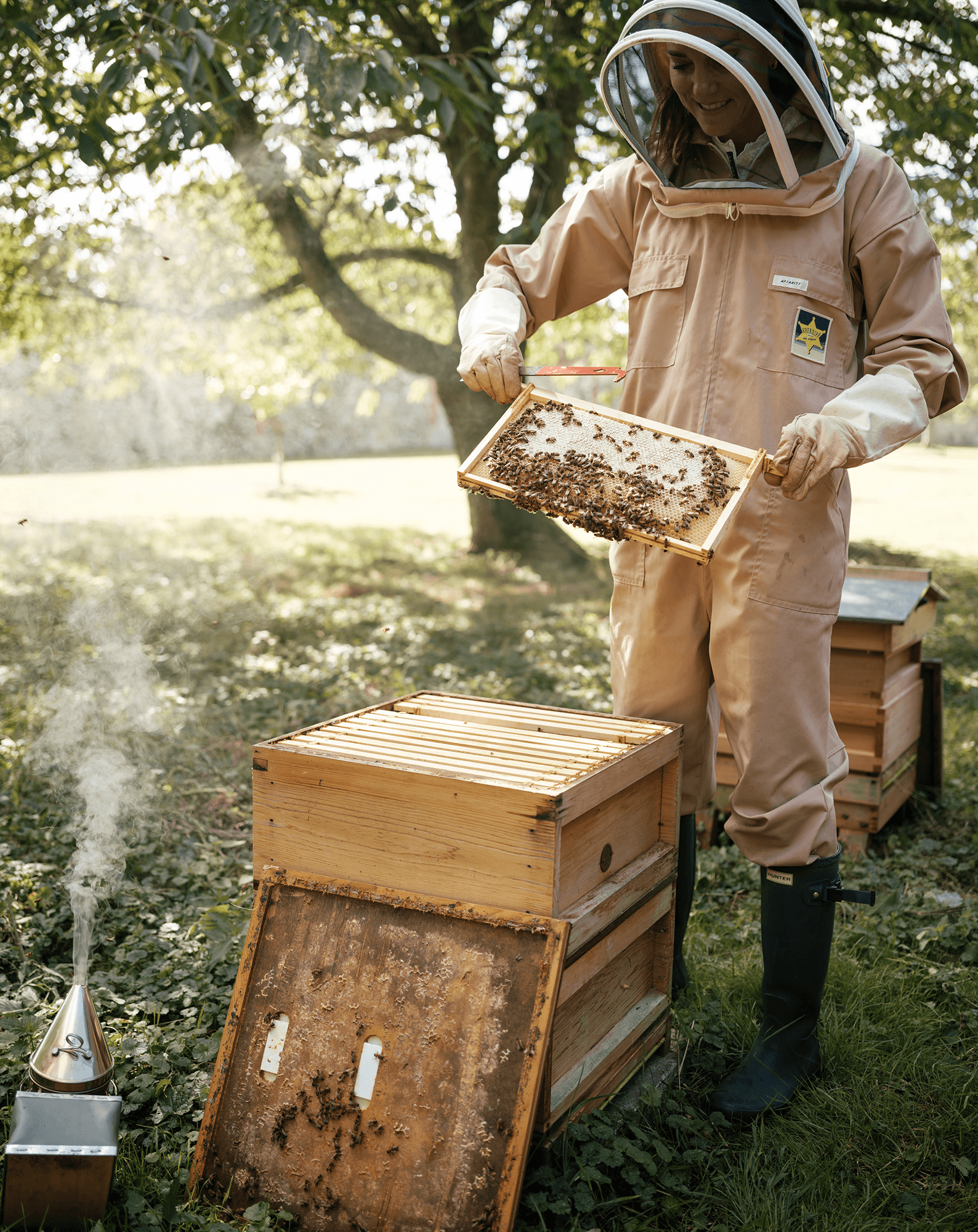 The Princess of Wales in a bee suit with her beehives