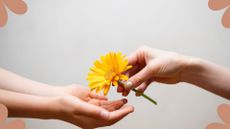 A woman giving a flower to a loved one