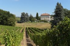CLomellina_vines_house.jpg