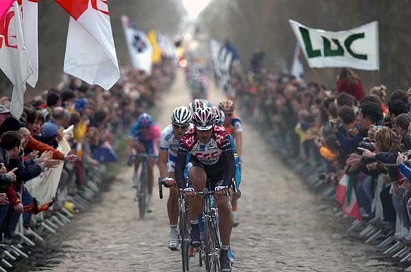 An amazing scene in the La For&ecirc;t d'Arenberg