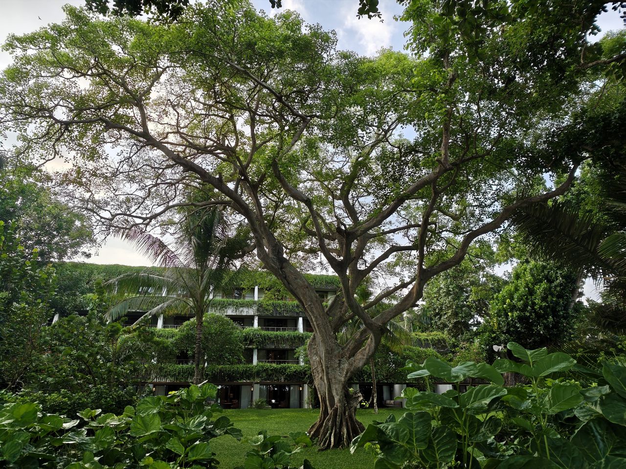 POCO F8 Ultra camera testing in Bali by Android Central