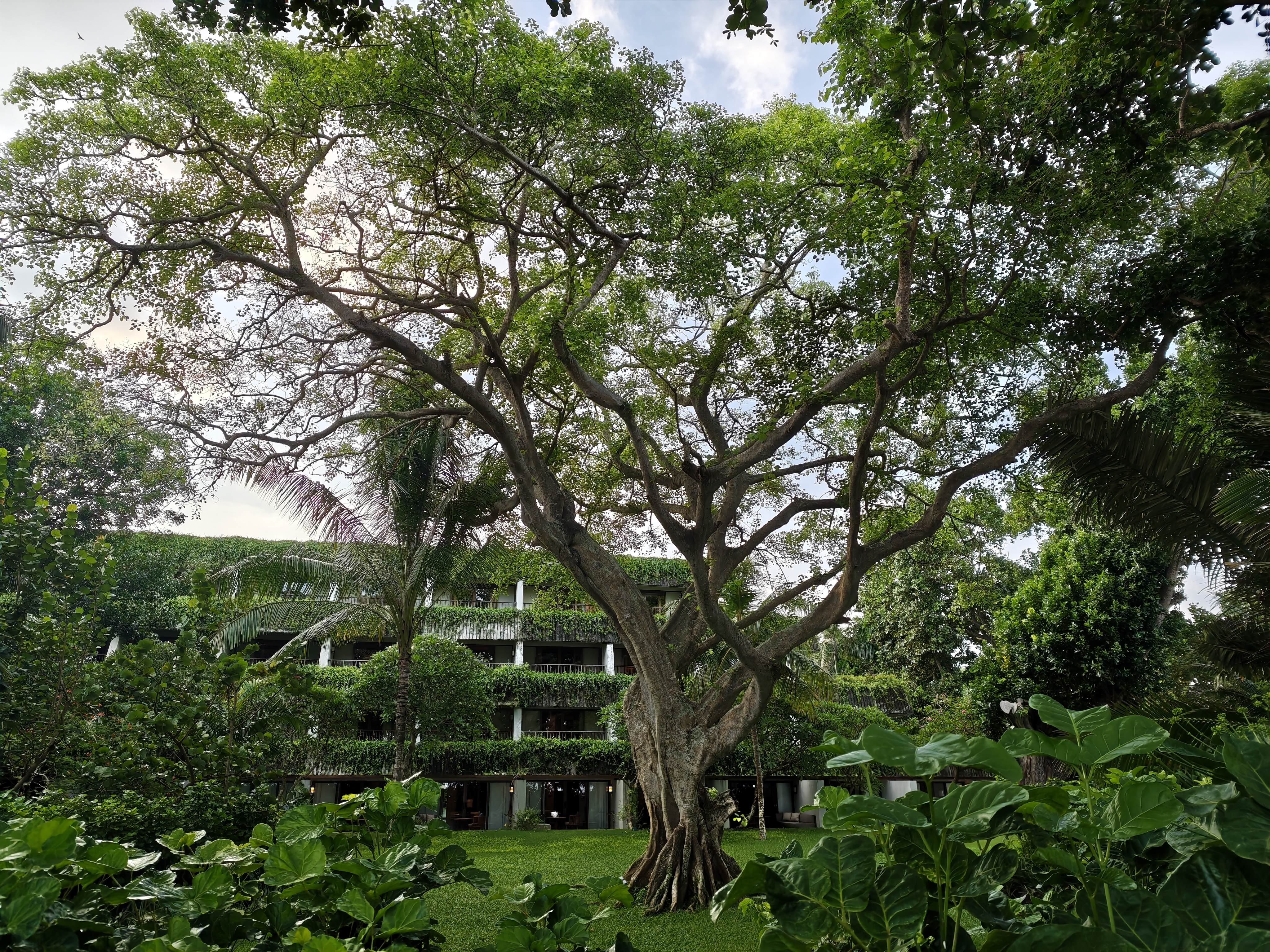 POCO F8 Ultra camera testing in Bali by Android Central