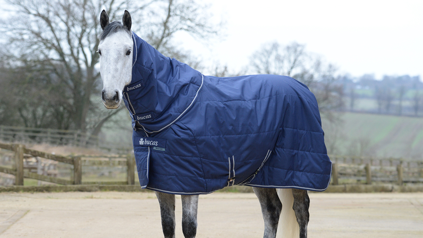 Bucas Stable Quilt Rug