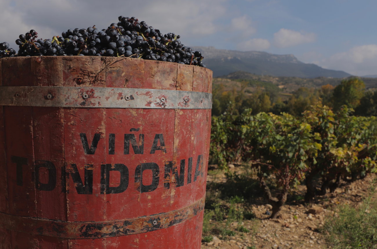 Vi&ntilde;a Tondonia