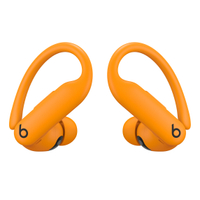 Beats Powerbeats Pro 2