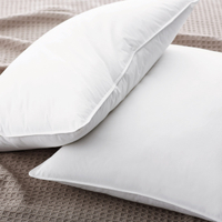 Legends Hotel Best Down Pillow | $119 at The Company Store
Save 25% through March 21st with code BFF2021&nbsp;