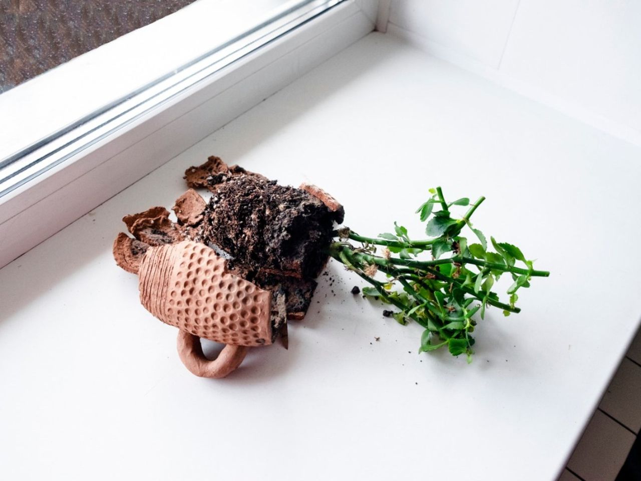 Broken Small Planter On The Windowsill