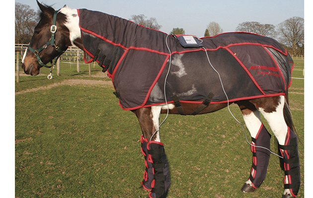 FMB therapy rug