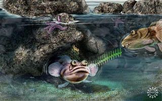 Artist&#039;s impression of singing fish