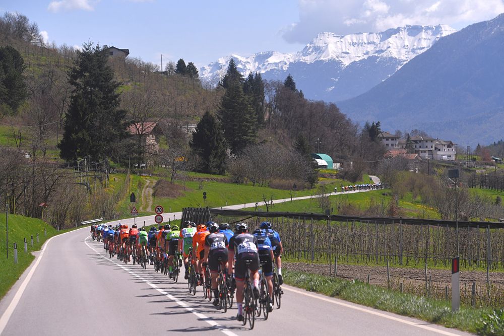 The peloton at stage 2 Tour of the Alps