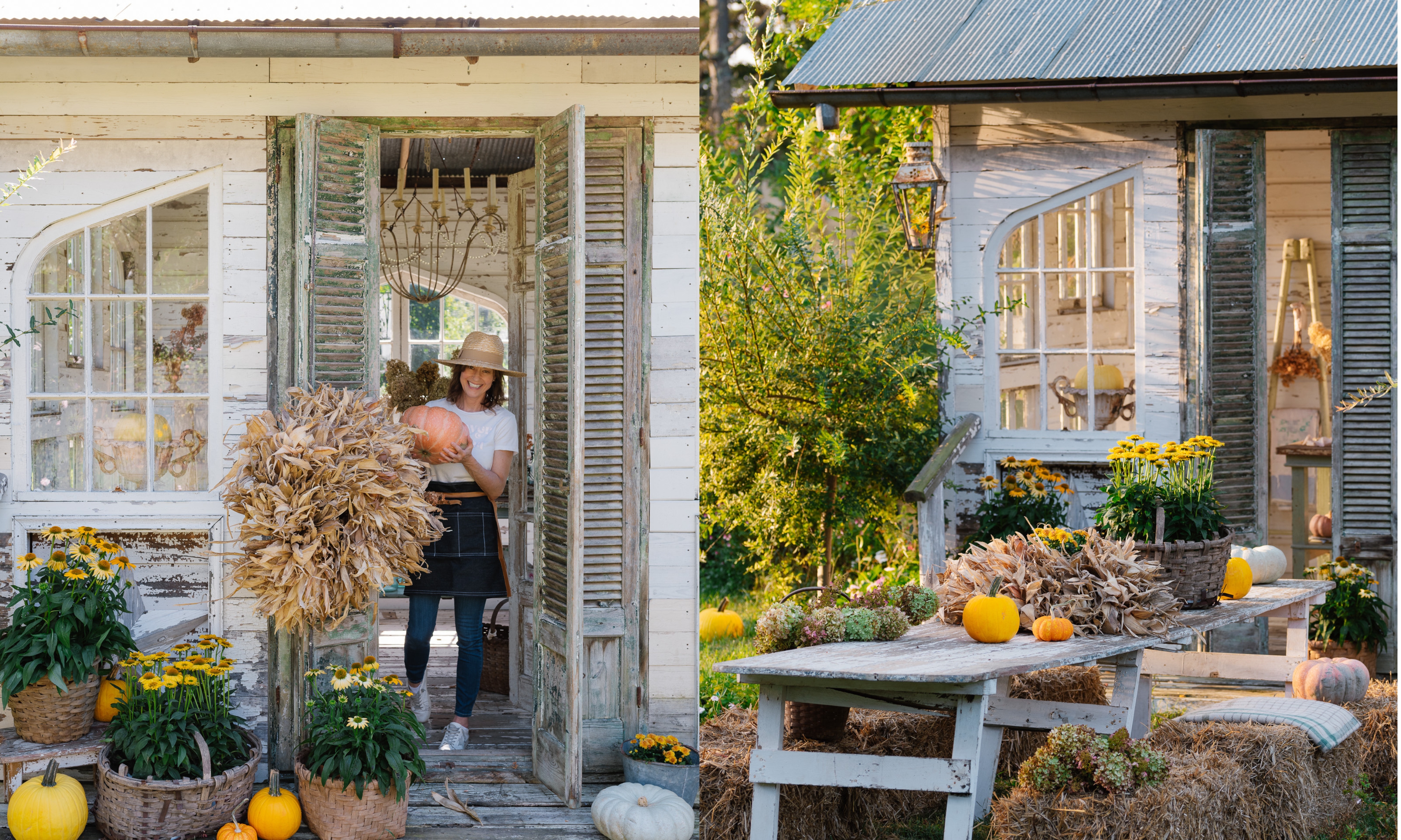White rustic flower barn in fall, with pumpkins and yellow blooms planted in wicker baskets