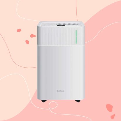Vonhaus portable 20L dehumidifier on a pink graphic background
