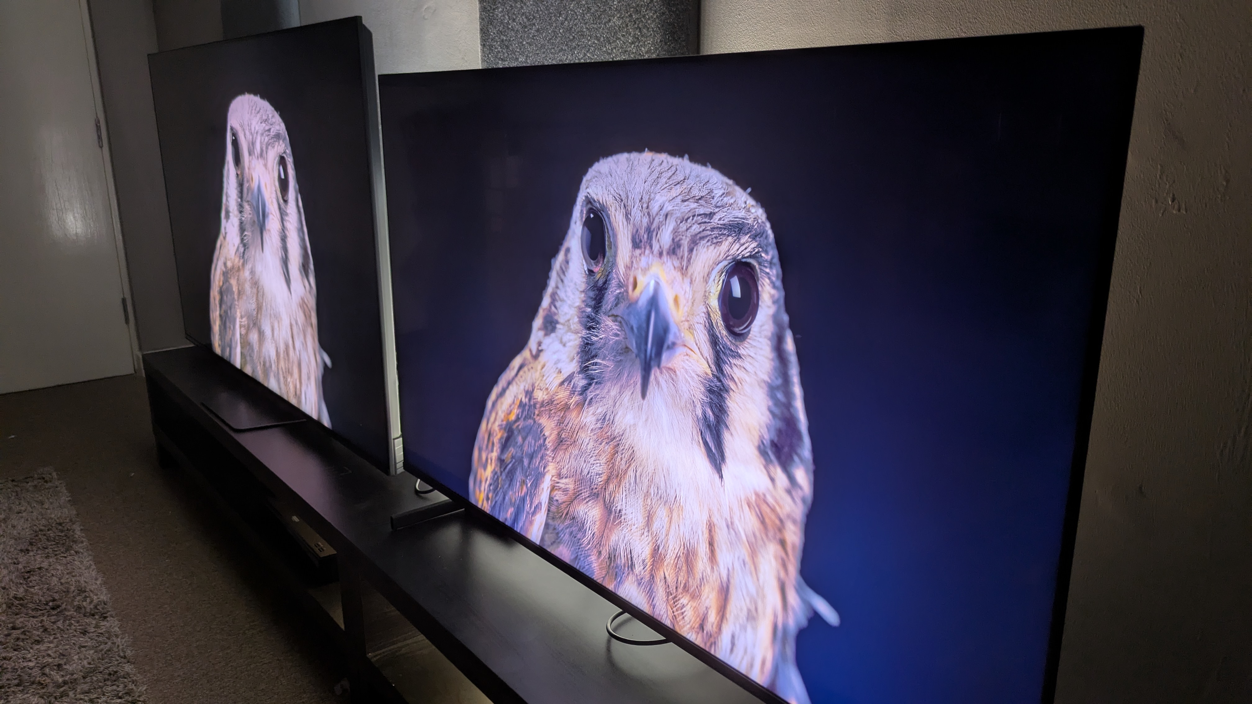 ハイセンス UR8 (左) とサムスン QN80H (右) とファルコンが画面に表示されます。 QN80H は雲や花を斜めから見ると見えますが、UR8 は見えません。