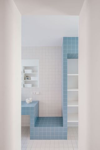 a two color blue and white tile bathroom