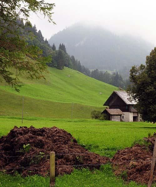 Scenic Swiss farms along the track.