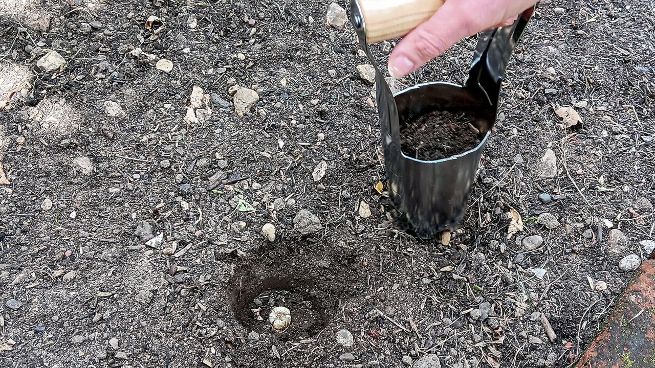 Kent &amp; Stowe Hand Bulb Planter
