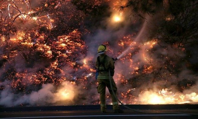 A firefighter tries to douse part of the Rim Fire on Aug. 24 near Groveland, Calif.