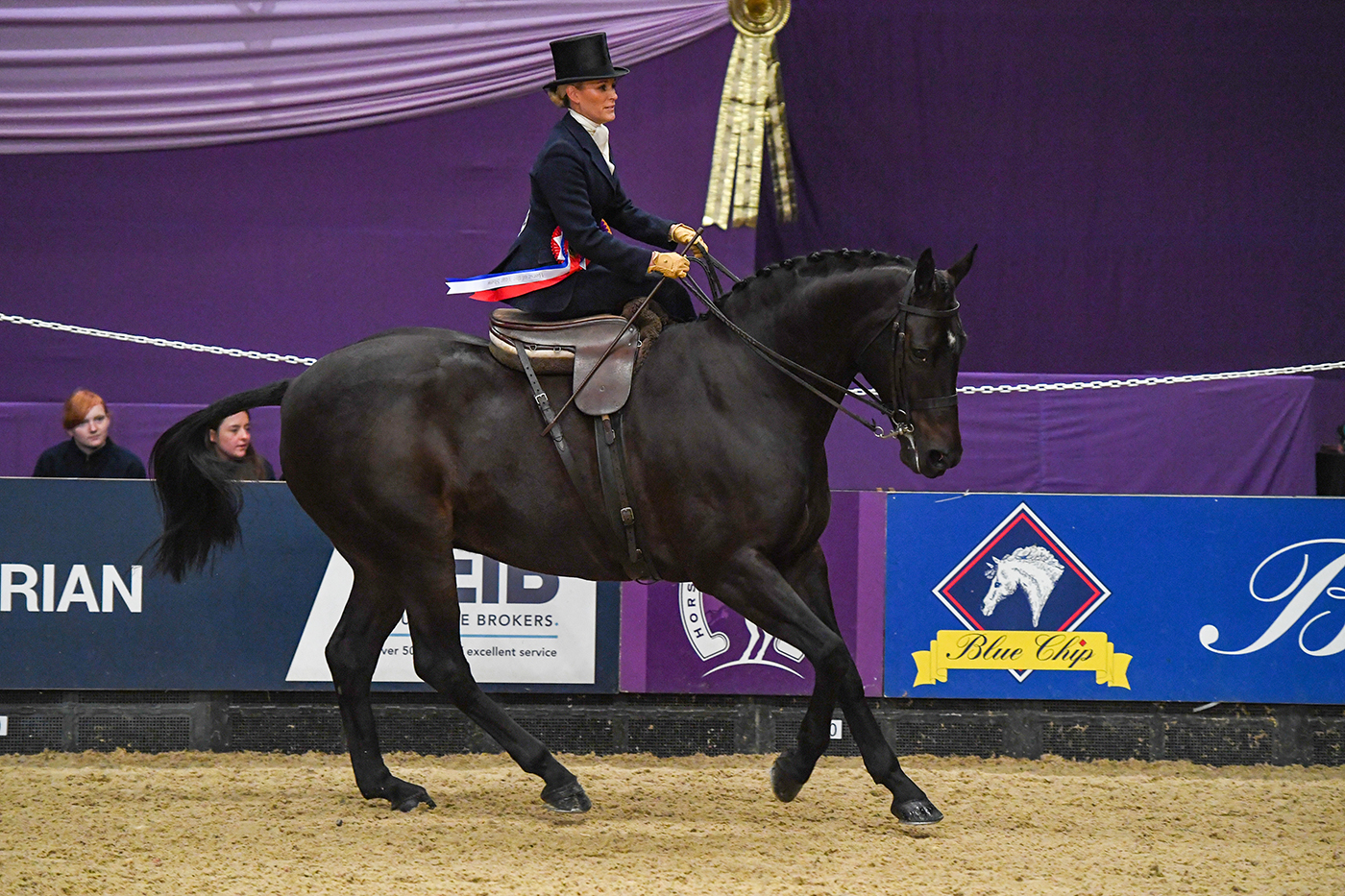 HOYS 02 10 19