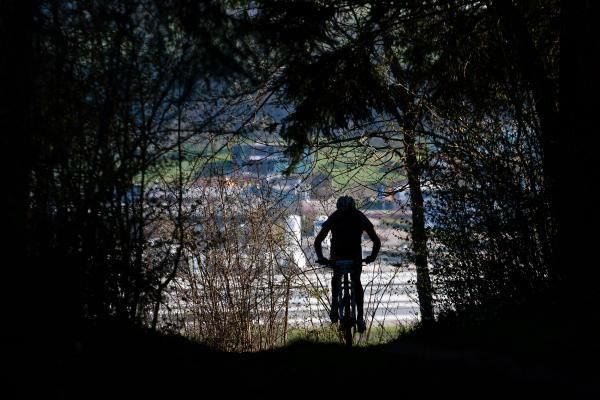 Racing under the forest canopy