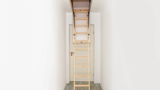 Wooden loft ladder in a white hall