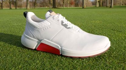 ecco biom h4 golf shoe on grass, Best Ecco Biom H4 Shoe Deals
