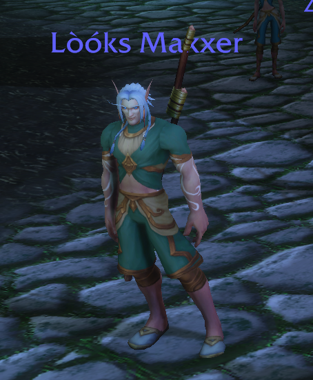 Players running around in WoW: Forever with some suspect, silly names.