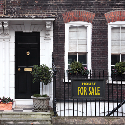 Brick, Facade, Door, Fixture, Home door, Flowerpot, Iron, Brickwork, Gate, Houseplant, 