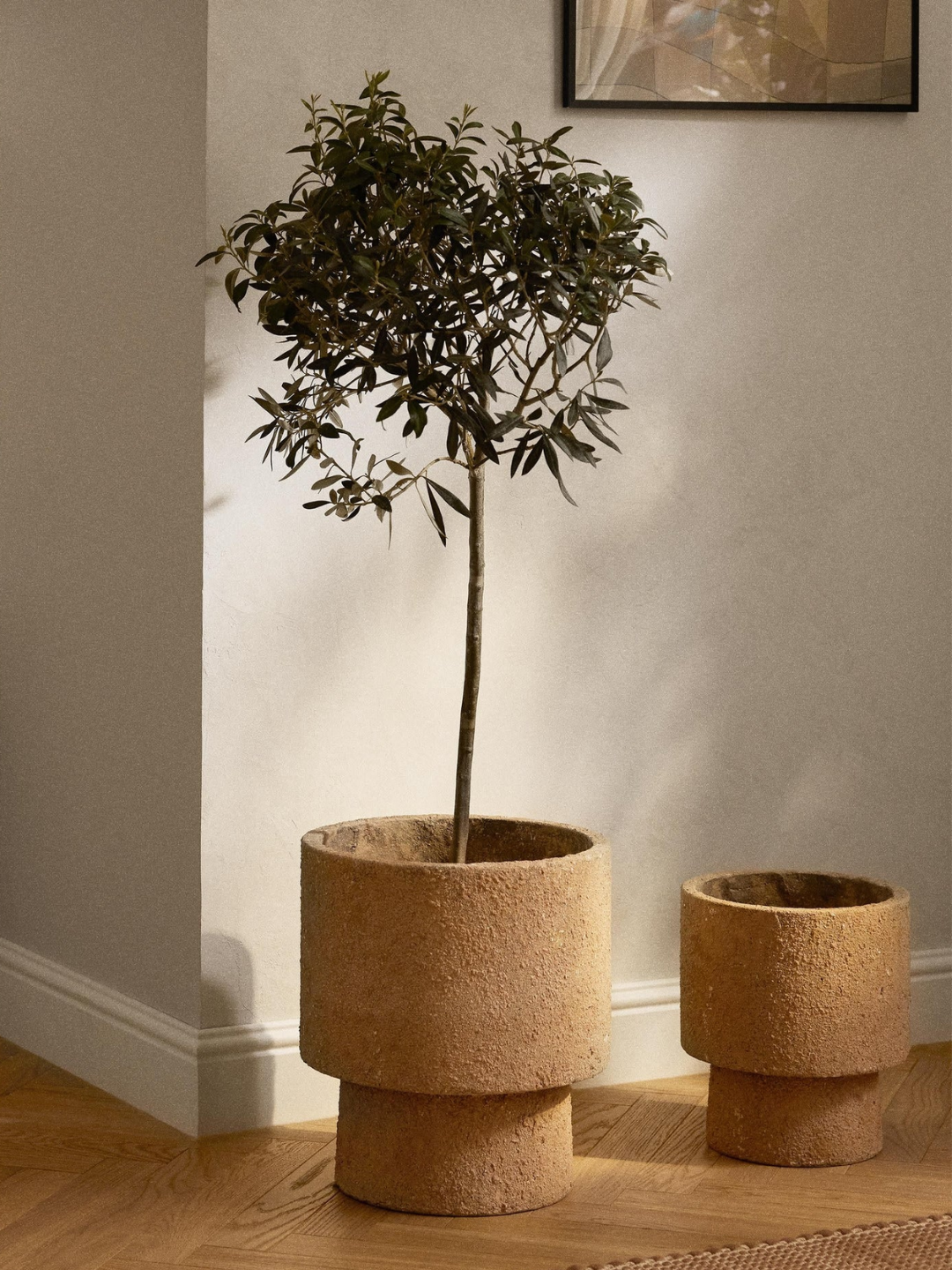 A sandy planter