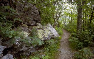 shenandoah National park national park service