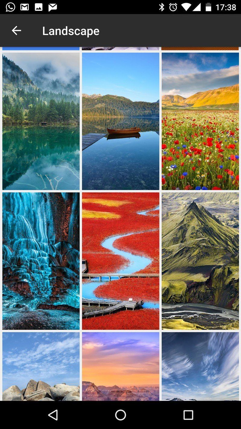 Google Wallpapers