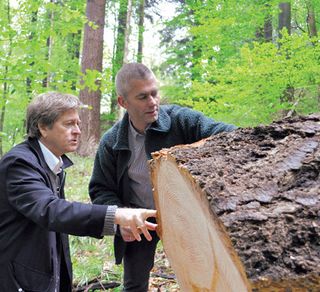 John Pawson and CEO Thomas Dinesen pick the right wood at The Black Forest