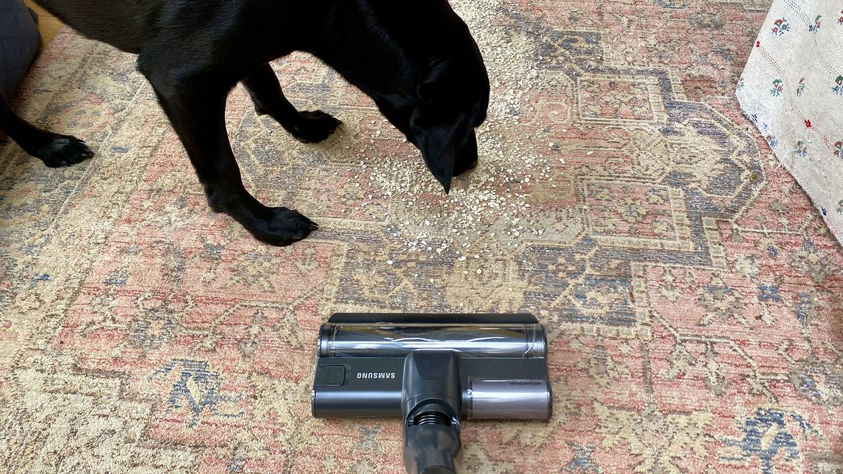 Samsung Jet 85 Pet vacuum cleaner review: high-powered cleaning for pet ...